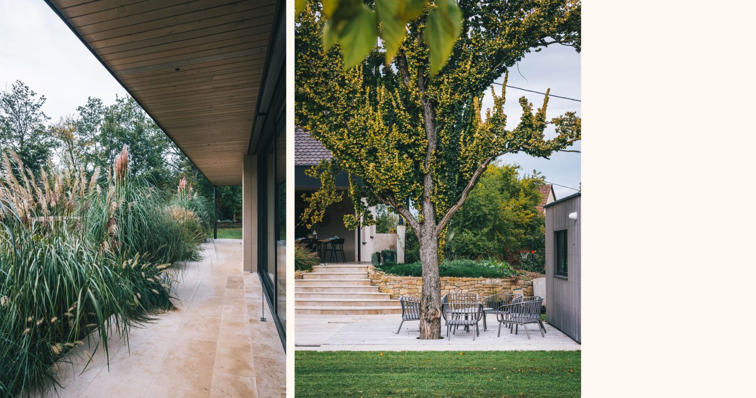 @nicolasjehly - Canopee_Cernay_50reco