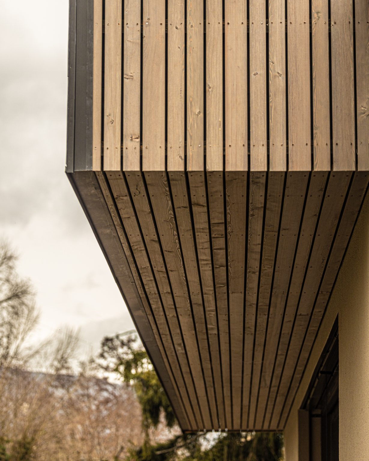 Canope╠üe_20210205_26