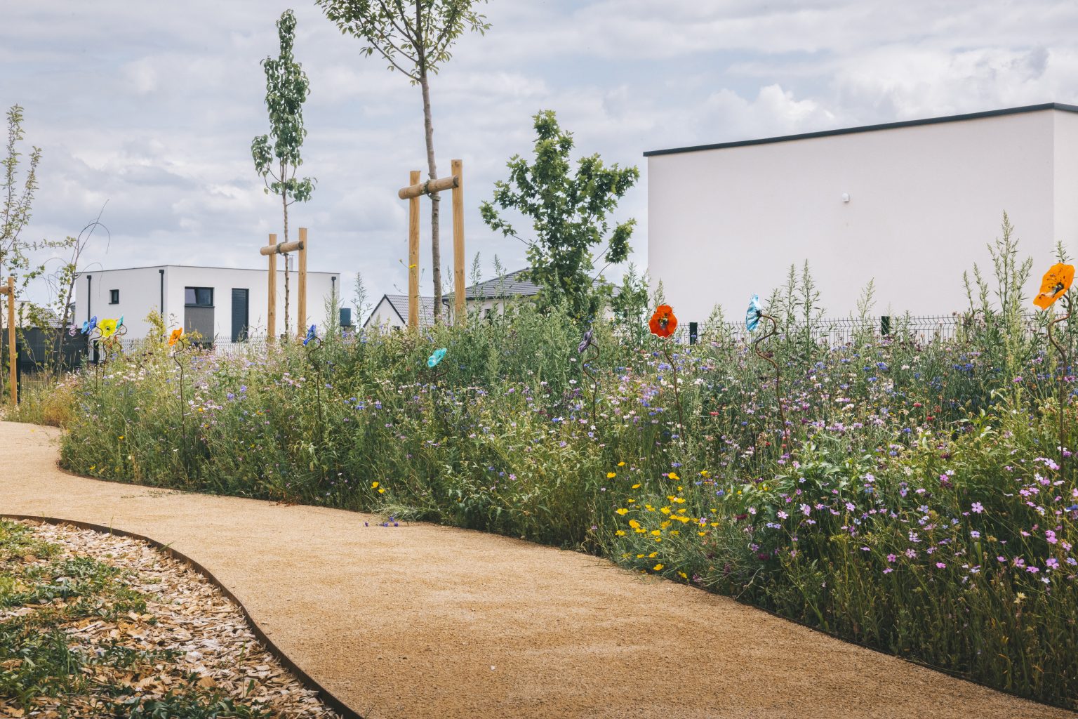 NIEDERENTZEN - NJ-12